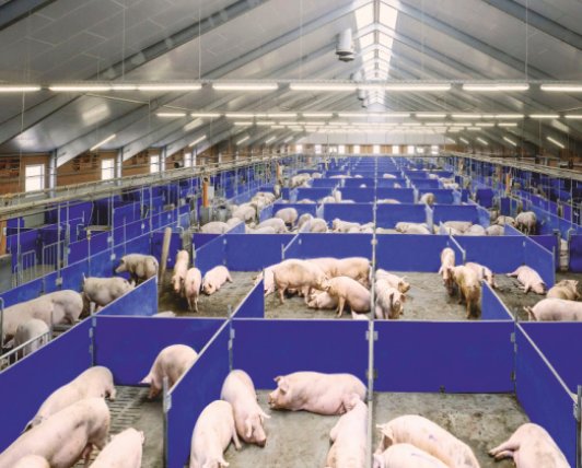 Перегородки для животных